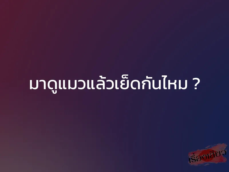 มาดูแมวแล้วเย็ดกันไหม ? 1 มาดูแมวแล้วเย็ดกันไหม ?
