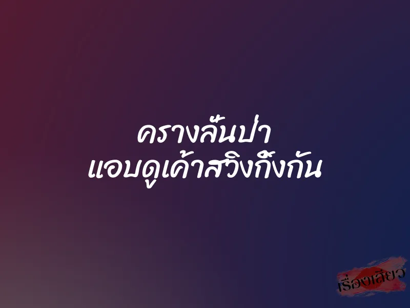 ครางลั่นป่า แอบดูเค้าสวิงกิ้งกัน 9 ครางลั่นป่า แอบดูเค้าสวิงกิ้งกัน