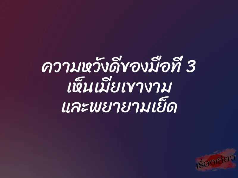 ความหวังดีของมือที่ 3 เห็นเมียเขางาม และพยายามเย็ด 1 ความหวังดีของมือที่ 3 เห็นเมียเขางาม และพยายามเย็ด