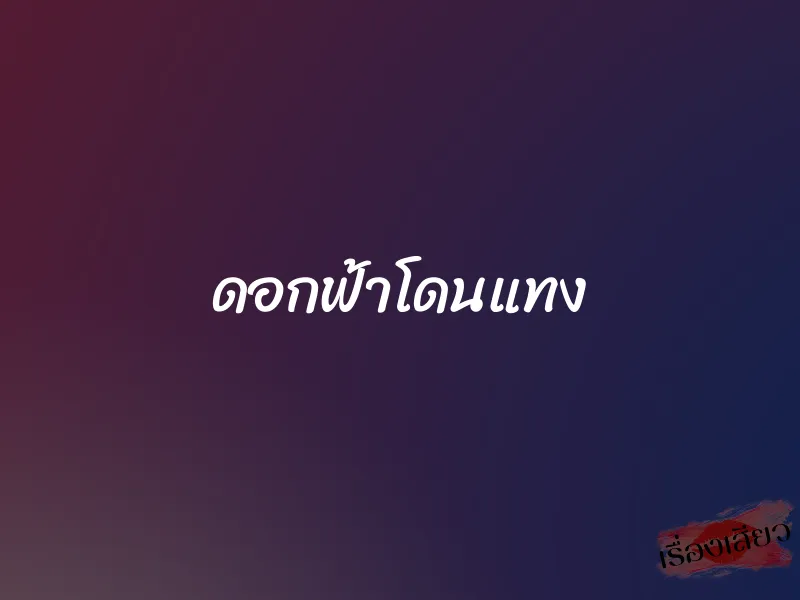 ดอกฟ้าโดนแทง 1 ดอกฟ้าโดนแทง