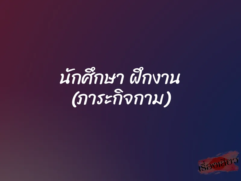 นักศึกษา ฝึกงาน (ภาระกิจกาม) 1 นักศึกษา ฝึกงาน (ภาระกิจกาม)