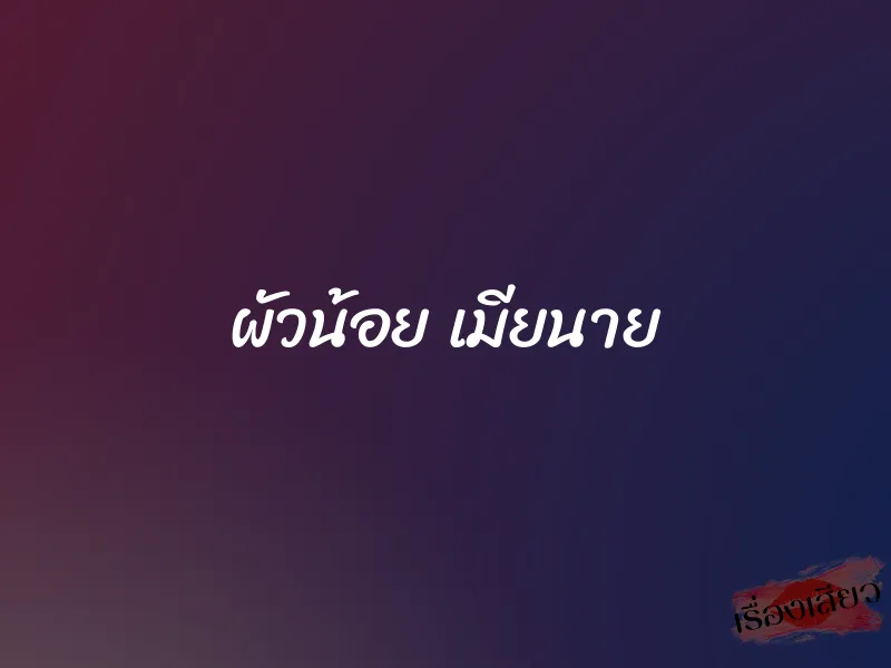 ผัวน้อย เมียนาย 1 ผัวน้อย เมียนาย