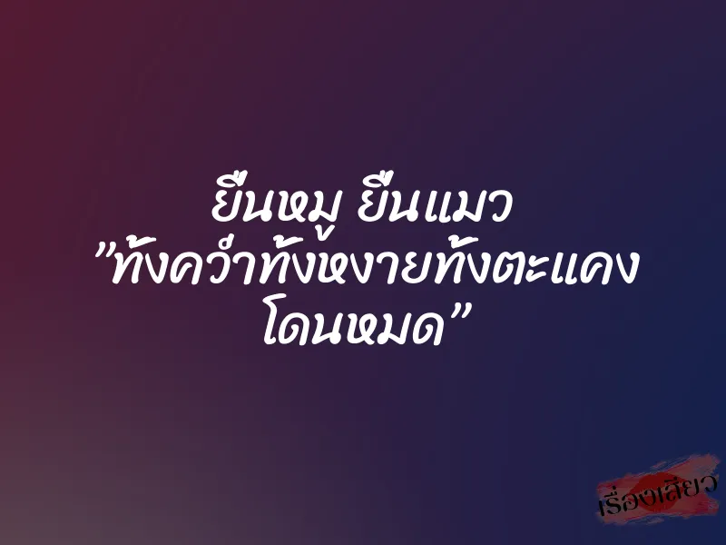 ยื่นหมู ยื่นแมว ”ทั้งคว่ำทั้งหงายทั้งตะแคง โดนหมด” 10 ยื่นหมู ยื่นแมว ”ทั้งคว่ำทั้งหงายทั้งตะแคง โดนหมด”