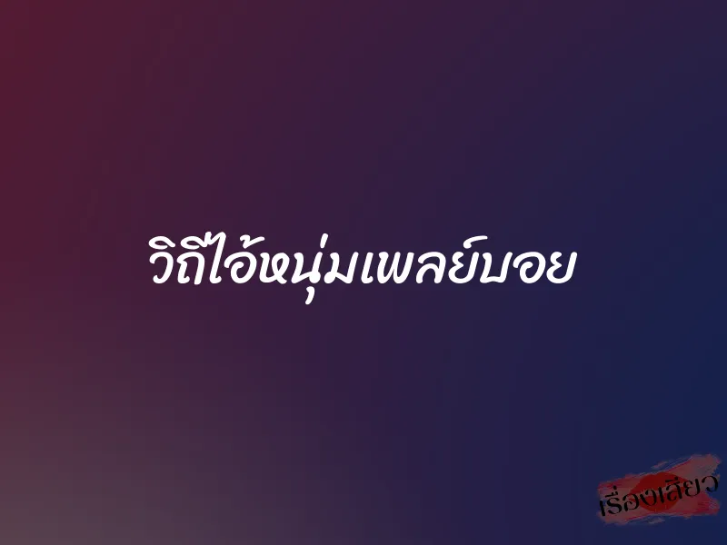 วิถีไอ้หนุ่มเพลย์บอย 1 วิถีไอ้หนุ่มเพลย์บอย