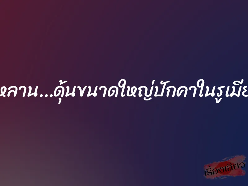 หลาน…ดุ้นขนาดใหญ่ปักคาในรูเมีย 1 หลาน…ดุ้นขนาดใหญ่ปักคาในรูเมีย