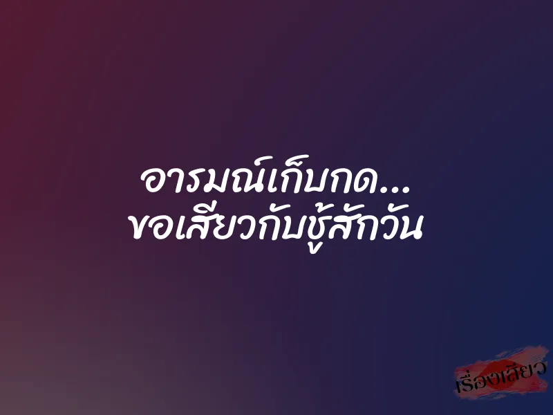 อารมณ์เก็บกด… ขอเสียวกับชู้สักวัน 1 อารมณ์เก็บกด… ขอเสียวกับชู้สักวัน