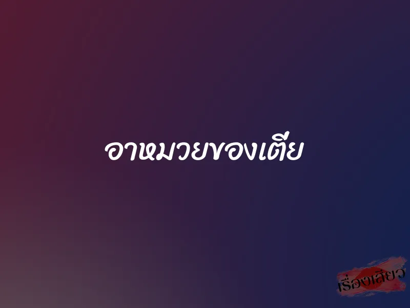 อาหมวยของเตี่ย 1 อาหมวยของเตี่ย