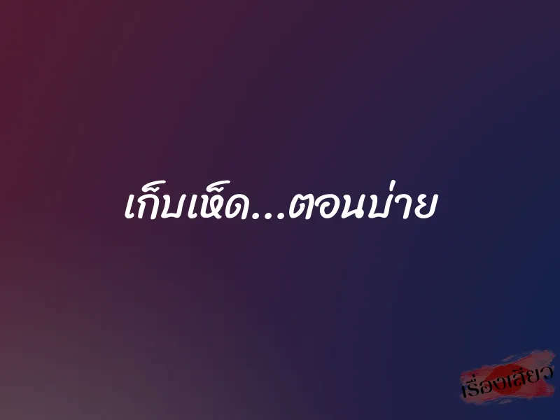 เก็บเห็ด...ตอนบ่าย 1 เก็บเห็ด...ตอนบ่าย