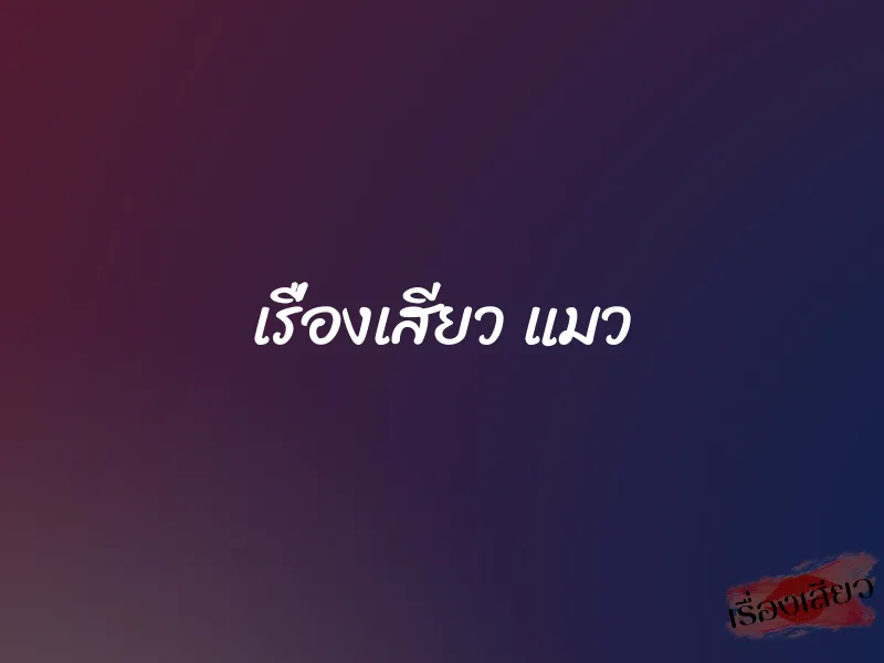 เรื่องเสียว แมว 2 เรื่องเสียว แมว