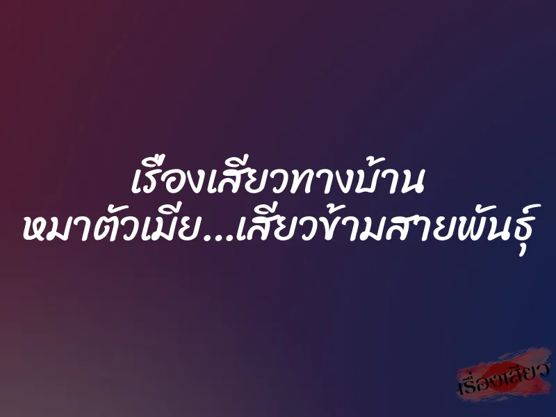 เรื่องเสียวทางบ้าน หมาตัวเมีย…เสียวข้ามสายพันธุ์ 5 เรื่องเสียวทางบ้าน หมาตัวเมีย…เสียวข้ามสายพันธุ์