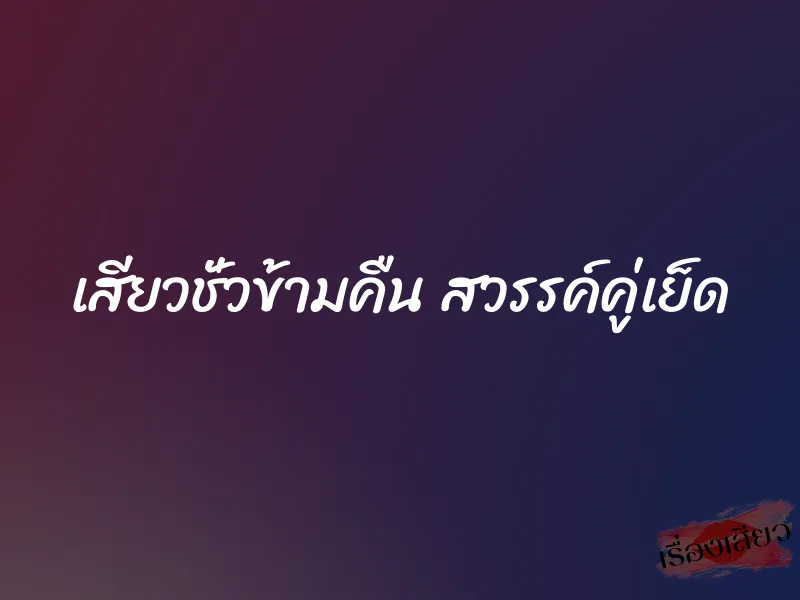 เสียวชั่วข้ามคืน สวรรค์คู่เย็ด 1 เสียวชั่วข้ามคืน สวรรค์คู่เย็ด