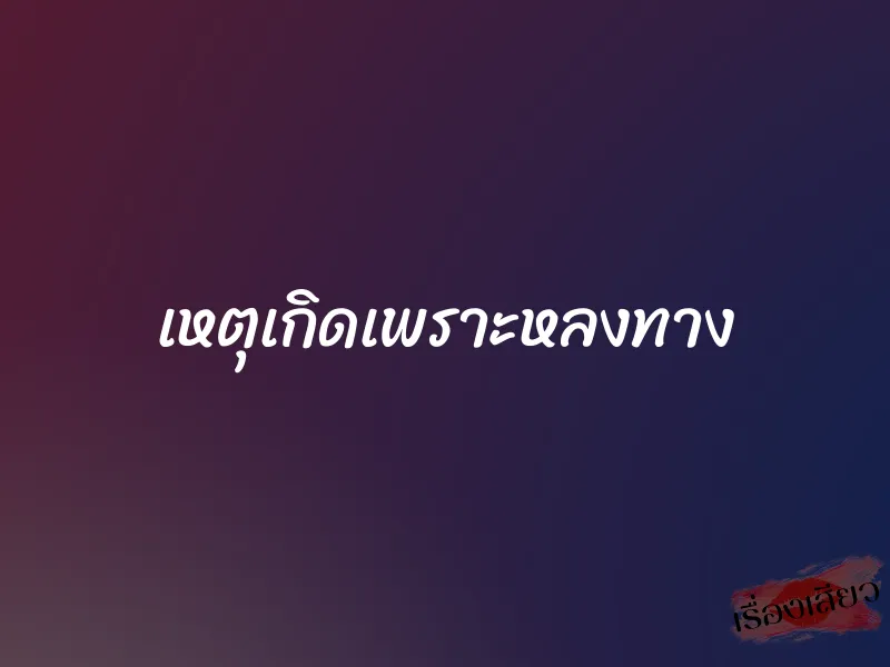 เหตุเกิดเพราะหลงทาง 1 เหตุเกิดเพราะหลงทาง
