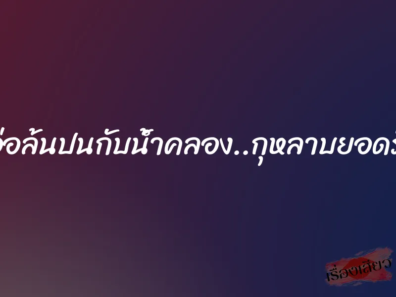เอ่อล้นปนกับน้ำคลอง..กุหลาบยอดรัก 1 เอ่อล้นปนกับน้ำคลอง..กุหลาบยอดรัก