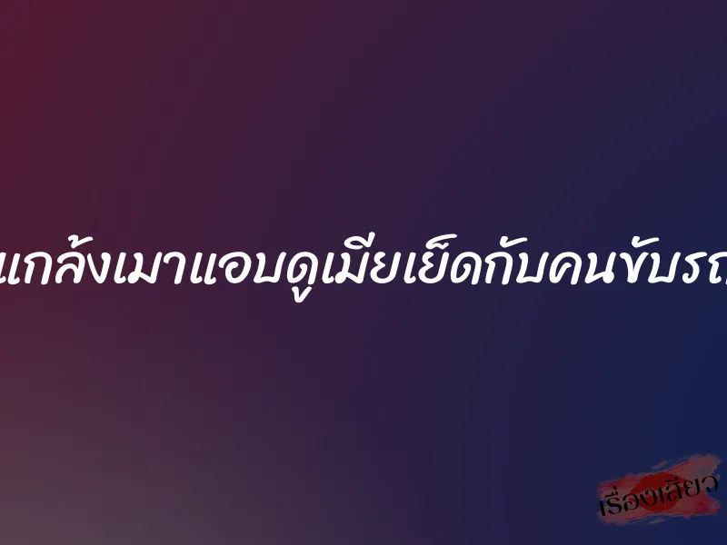 แกล้งเมาแอบดูเมียเย็ดกับคนขับรถ 3 แกล้งเมาแอบดูเมียเย็ดกับคนขับรถ