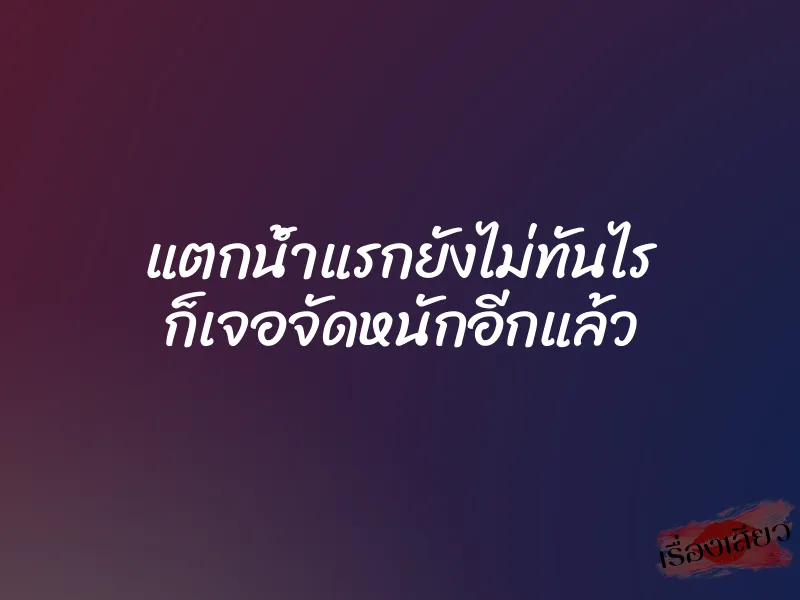 แตกน้ำแรกยังไม่ทันไร ก็เจอจัดหนักอีกแล้ว 1 แตกน้ำแรกยังไม่ทันไร ก็เจอจัดหนักอีกแล้ว