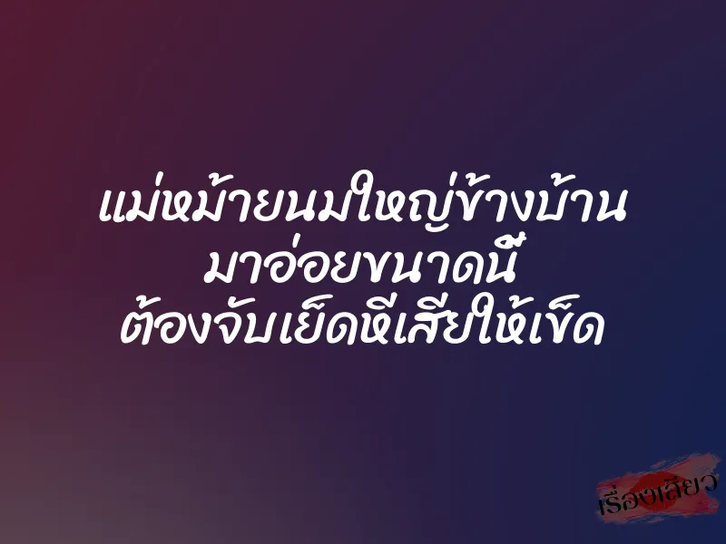 แม่หม้ายนมใหญ่ข้างบ้าน มาอ่อยขนาดนี้ ต้องจับเย็ดหีเสียให้เข็ด 1 แม่หม้ายนมใหญ่ข้างบ้าน มาอ่อยขนาดนี้ ต้องจับเย็ดหีเสียให้เข็ด