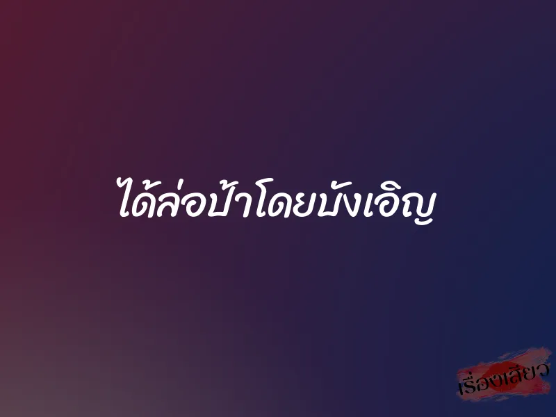 ได้ล่อป้าโดยบังเอิญ 1 ได้ล่อป้าโดยบังเอิญ